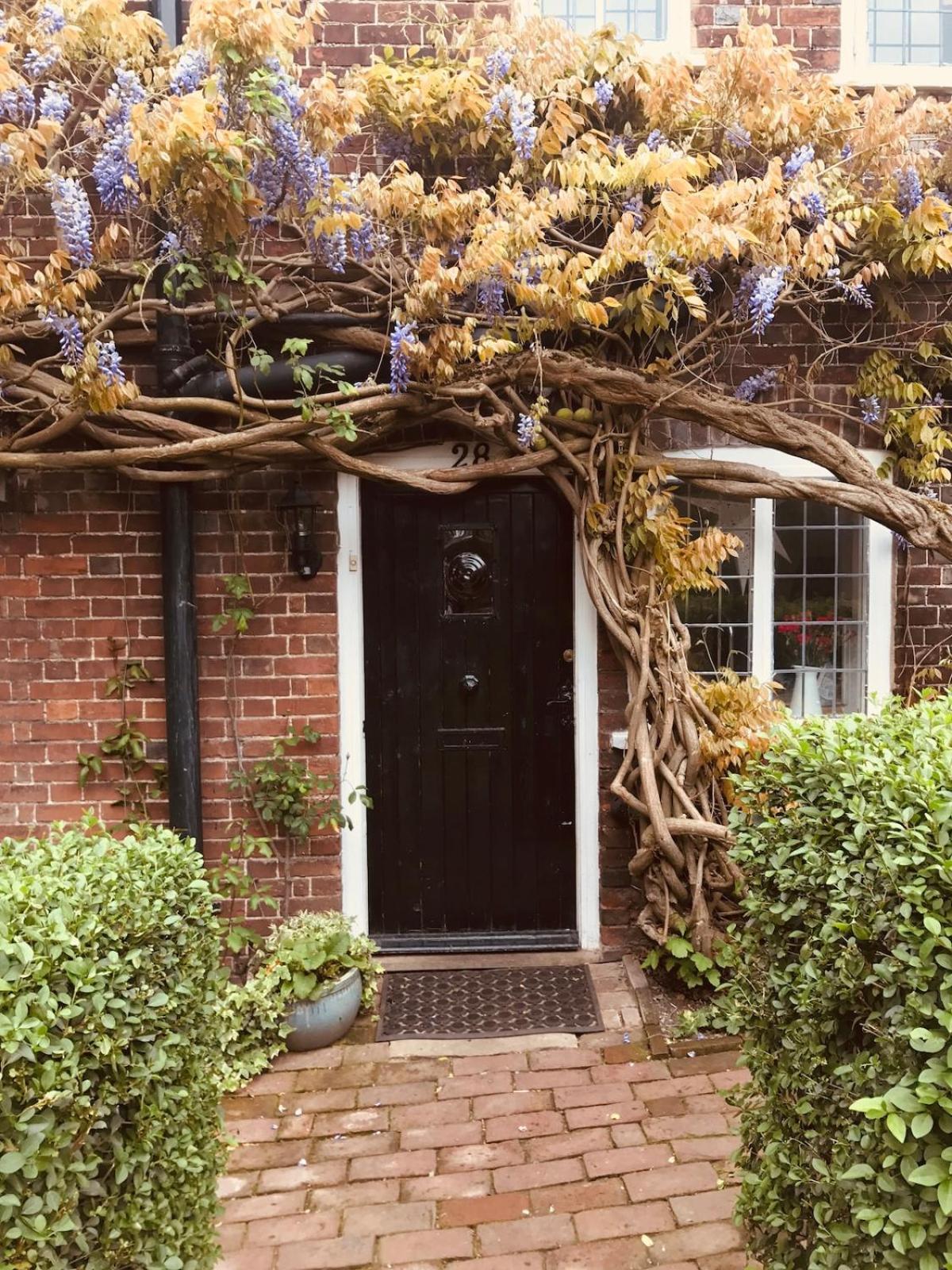 Wisteria Gravesend